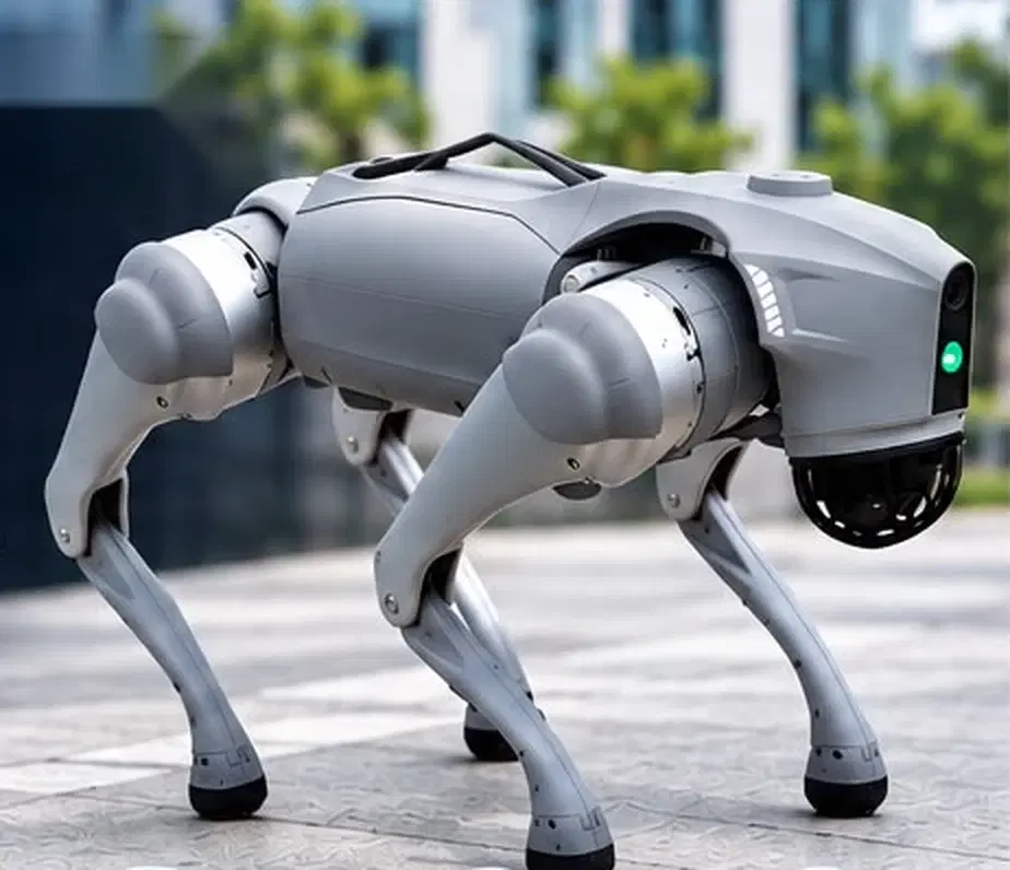 Puppy 2.0 quadruped robot