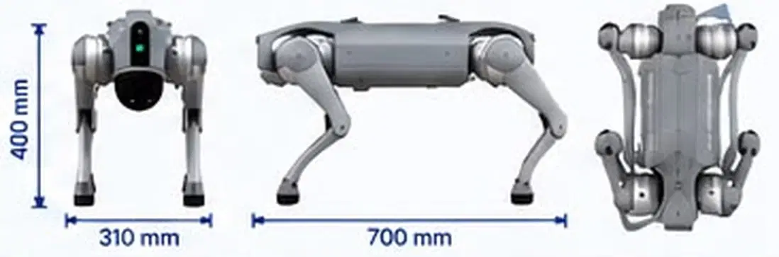 Puppy 2.0 dimensions: 400 mm high, 310 mm wide, 700 mm long